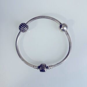 Pandora Moments Snake Chain Bracelet + 2 Clip Charms